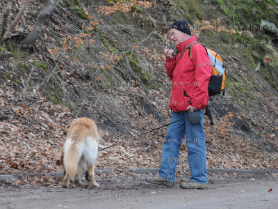 Trwają poszukiowania zaginionej Iwony Kitowskiej-...