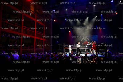 Gala Biznes Boxing w Gdańskim Teatrze Szekspirowskim...