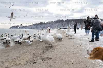 Zima w Gdyni. Plaża Miejska.31.01.2021 Fot. Anna...