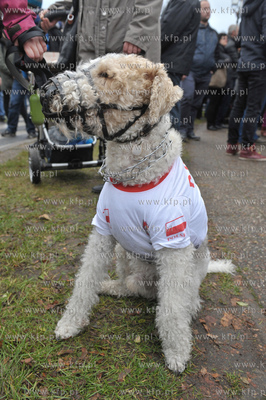Dzien Niepodleglosci w Gdansku. Barwna parada przeszla...