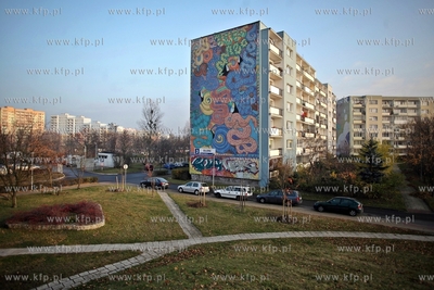 Gdansk Zaspa. Murale.
20.11.2012
fot. Krzysztof Mystkowski...