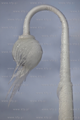 Molo w Sopocie.
27.01.2014
fot. Krzysztof Mystkowski...