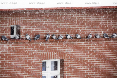 Gdańsk Letnica. Zima. 21.01.2016 fot. Krzysztof Mystkowski...