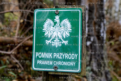 Znak - Pomnik przyrody prawem chroniony. 15.10.2021...
