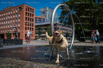 Gdańsk. Fontanna Heweliusza. Upalne lato w mieście....