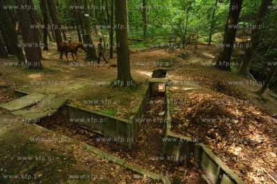 11 Bateria Artylerii Stalej w Gdyni Redlowie zbudowana...