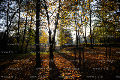 Gdansk. Park Jelitkowski.
06.11.2011
fot. Mateusz...