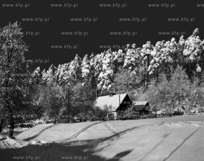 Zima prawdopodobnie w okolicach Gdanska Oliwy. Prosimy...