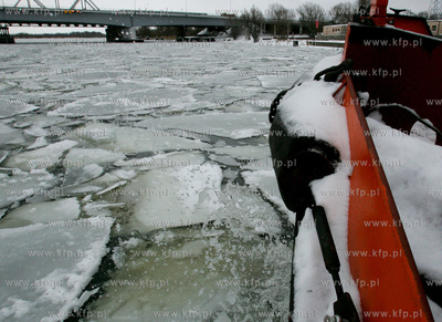 Szczecin. Wspolna akcja polskich ( Dzik, Lis, Zbik,...
