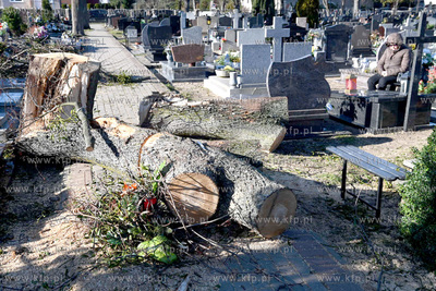 Nad Pomorzem przesła gwałtowana wichura powodując...