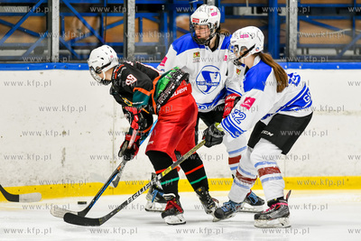 Półfinał TLHK.  GKS Stoczniowiec Gdańsk - Kojotki...