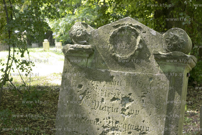 Cmentarz mennonicki z II połowy XVIII wieku w Stawcu...