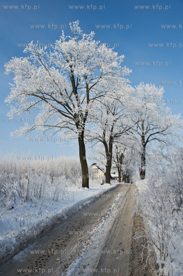 Piekna zima na zabytkowej ul. Wiezyckiej w Gdansku-Lostowicach.
16.01.2010
fot....