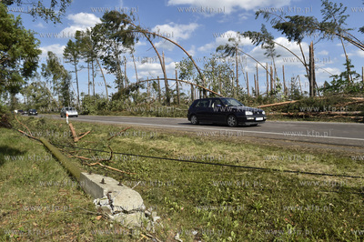 Skutki wichury na Pomorzu. Szosa  pomiędzy miejscowościami...