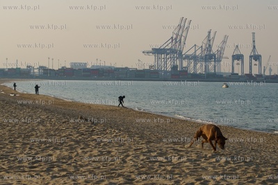 Gdańsk Stogi. Pomimo zalecenia pozostania w domu w...
