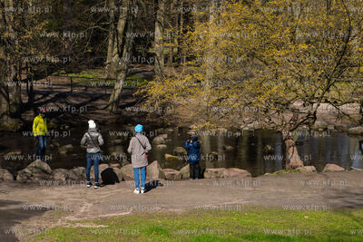 Wiosna w Parku Oliwskim. 9.04.2022 / fot. Anna Rezulak...