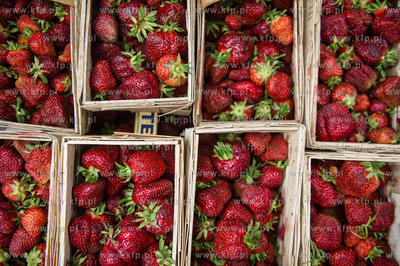 Gdansk. Plac przed siedziba Polskiego Zwiazku Wedkarskiego...