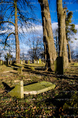 Gdansk. Zdewastowane przez nieznanych sprawcow plyty...