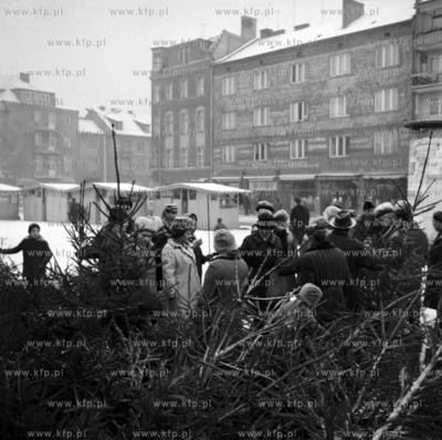 Sprzedaz choinek na placu Dominikańskim i na ul. Podwale...