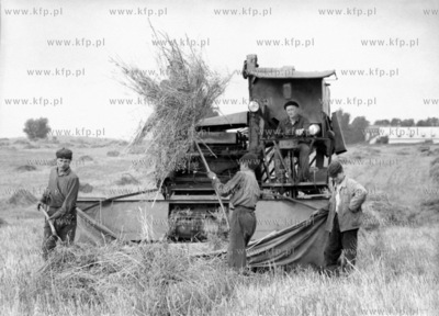 Zniwa w Powiecie Gdanskim. 1960
odb_17_11_13
Fot....
