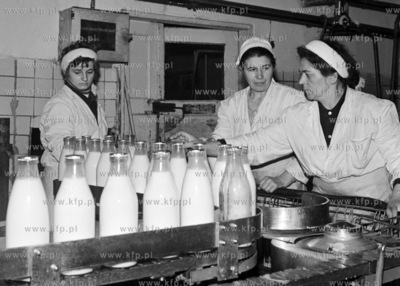 Linia produkcyjna w Spółdzielni Mleczarskiej w Starogardzie...