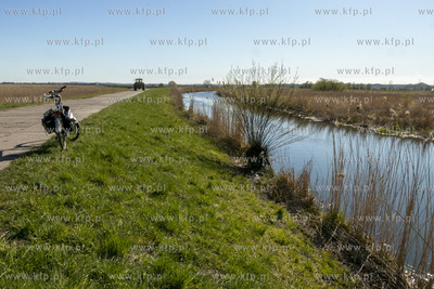 Rzeka Radunia w okolicach Krępca na Żuławach Gdańskich....