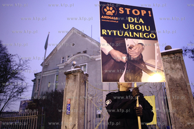 Manifestacja młodziezowki Ruchu Palikota, Partii Zieloni...