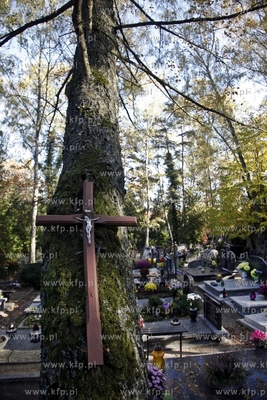 Cmentarz katolicki w Sopocie.
28.10.2014
fot. Krzysztof...
