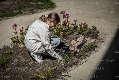 Sopot. Szkoła podstawowa nr. 1. Warsztaty z budowy...