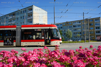 Tramwaj Pesa Jazz Duo na Stogach na ul. Stryjewskiego....
