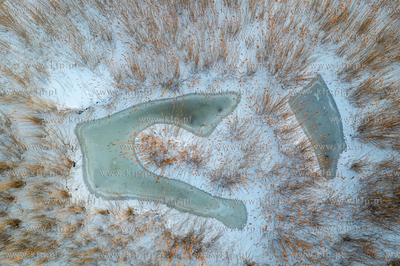 Zima na Mierzei Wiślanej. 20.01.2026 fot. Paweł Marcinko...
