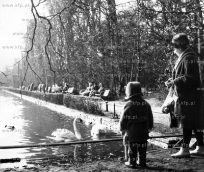 Pierwszy wiosenny spacer w Parku Oliwskim. 03.1965...
