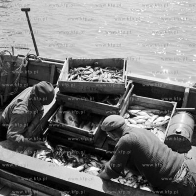 Powrót rybaków z połowu.
05.1967
0000226z_maj_1967
Fot....