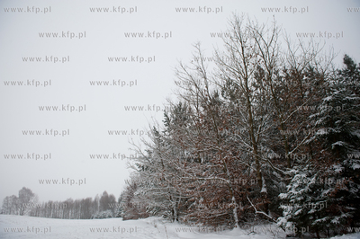 Osowo. Powiat Bytowski. Zimowy krajobraz.
19.01.2010
fot....