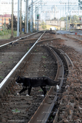 Trzy razy w ciagu minionych dwoch tygodni kradziono...