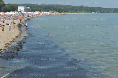 Sopot. Plaza. Zakaz kapieli w wodach Zatoki Gdanskiej...