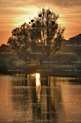 Zachod Slonca na gdanskich Lostowicach.04.07.2010fot....