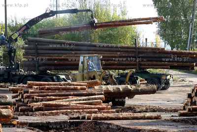 Tartak w dziemianach w woj. pomorskim. 6.10.2003 fot....