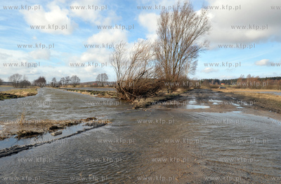 Wody z topniejacego sniegu oraz wezbrana rzeka Radunia...