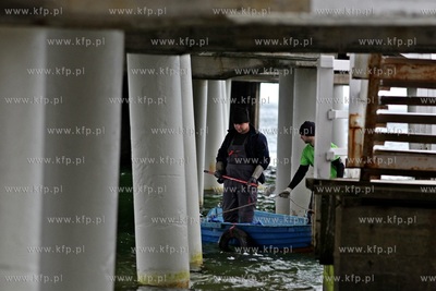 Pozimowa kosmetyka molo w Gdańsku Brzeźnie.
13.05.2015
fot....