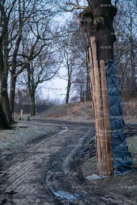 Rewitalizacja Opływu Motławy. 03.02.2023 fot. Paweł...