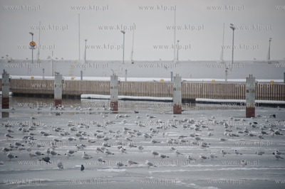 Gdynia. Niedzielne, wielkanocne popoludnie w porcie...