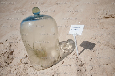 Gdansk. Wyspa Sobieszewoska. Teren Stacji Badawczej...