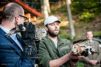 Gdansk. Oliwa. Lesniczowka Wroblowka. Wypuszczenie...