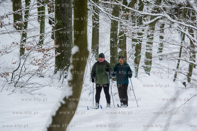 Sniezny zimowy dzien nad jeziorem Otominskim.
21.01.2016
fot....