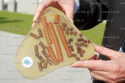 Otwarcie Pomorskiego Parku Naukowo - Techonologicznego...