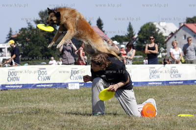 Sopocka Wystawa Psow Rasowych. W trakcie wystawy odbywaly...