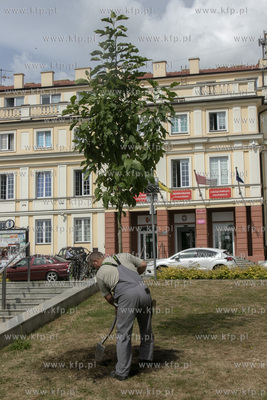 Uroczyste posadzenie magnolii na placu Jana Pawła...