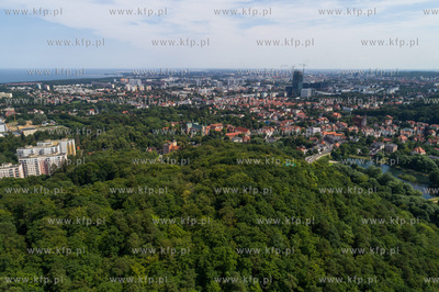 Gdańsk, Oliwa, lasy oliwskie.20.07.2017 Fot. Wojtek...