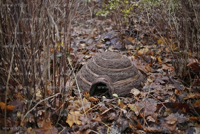Otwarcie pierwszej jeżo-strefy w Parku Przymorze....